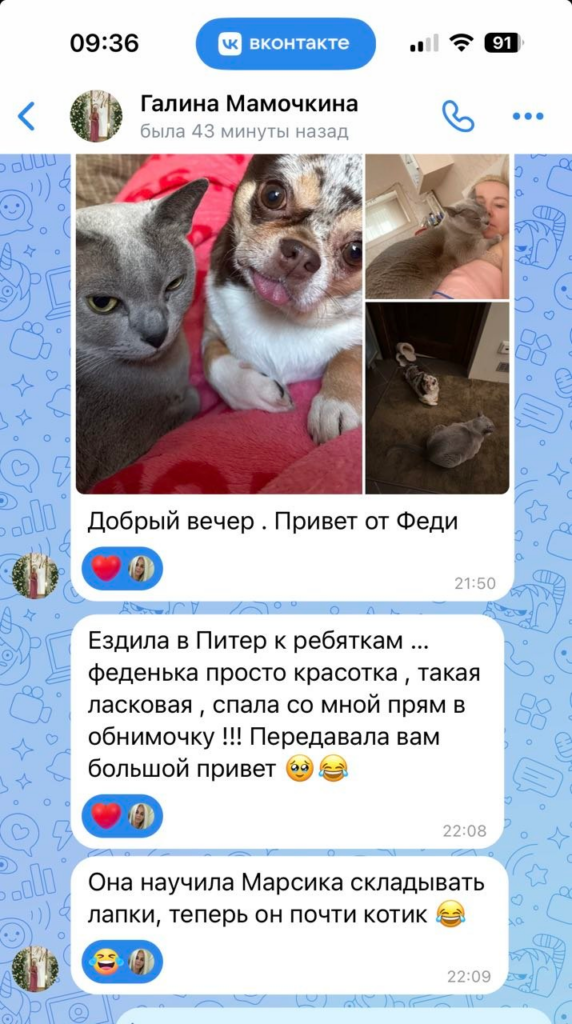 Фото отзыва