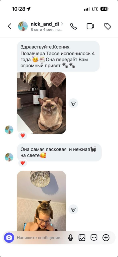 Фото отзыва