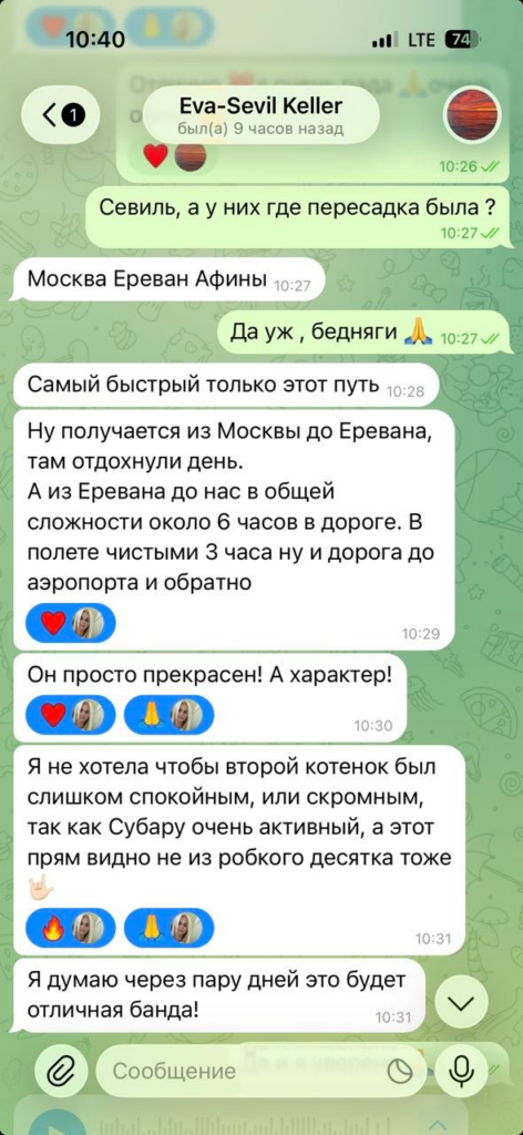 Фото отзыва