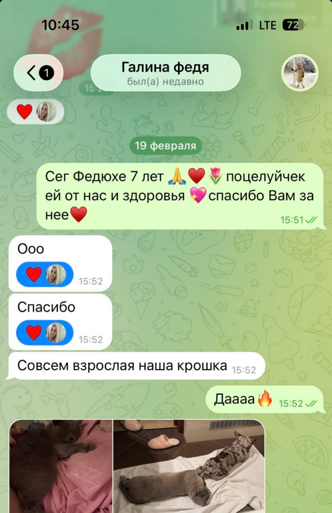 Фото отзыва