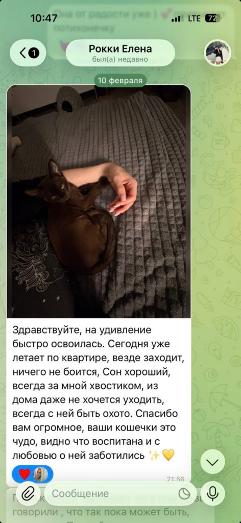 Фото отзыва